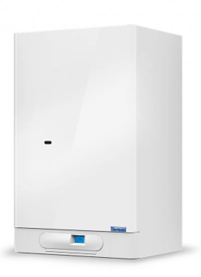 Одноконтурный настенный газовый котел THERM DUO 50.A